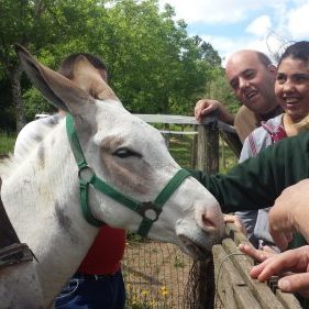 Agriturismo_a_Caianello_16-3
