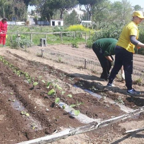 Orto_delle_giraffe_2017_43-1